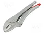 Knipex Alicates de sujeción 250mm