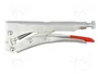 Knipex Alicates de sujeción 250mm