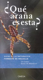 OMEGA, ¿QUÉ ARAÑA ES ESTA? - GUIAS DE LA NATURALEZA