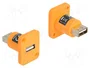 DeLOCK Módulo USB 2.0 Tipo-A hembra a hembra naranja tipo D