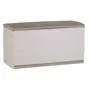 Plastiken Caja con Cerradura 350L Interior/Exterior con Ruedas Beige