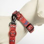 Cerdá Correa para Perros Spiderman Talla M Rojo