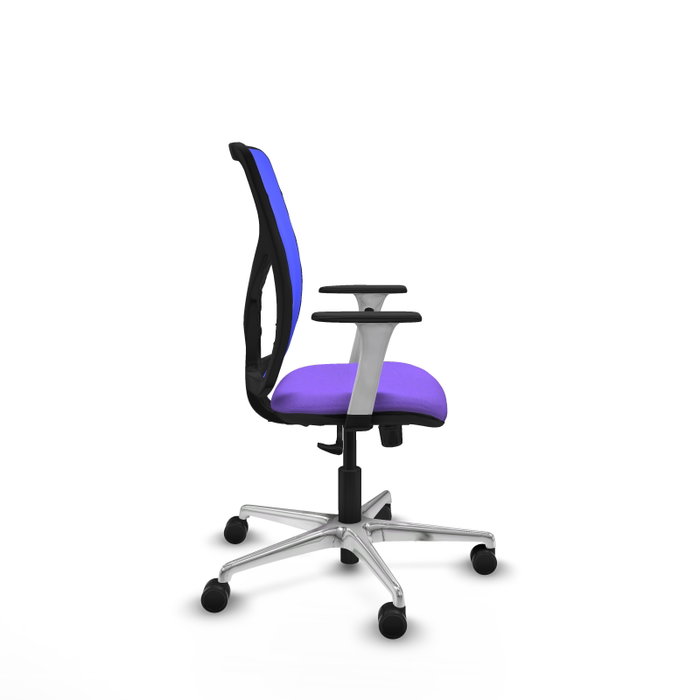 PIQUERAS Y CRESPO Silla de oficina Motilla con mecanismo Sincro, Lila y Azul PIQUERAS Y CRESPO Silla de oficina Motilla con mecanismo Sincro, Lila y Azul