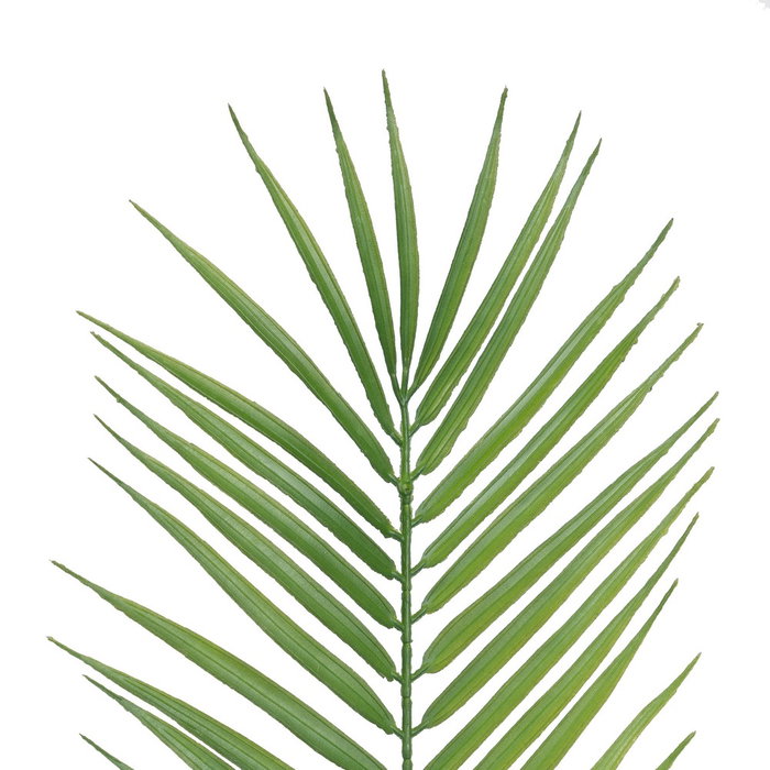 Ixia Hoja de Helecho Verde de Polietileno 108 cm Ixia Hoja de Helecho Verde de Polietileno 108 cm