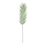 Ixia Hoja de Helecho Verde de Polietileno 108 cm