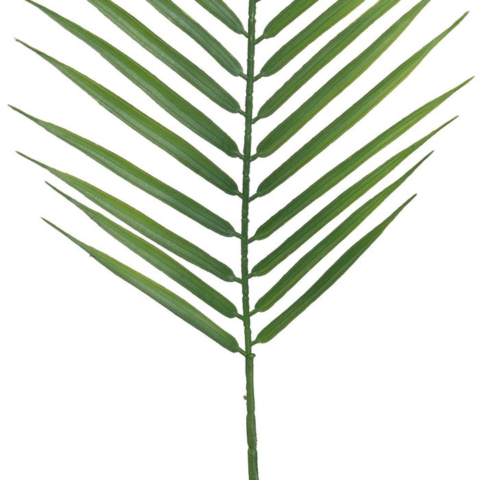 Ixia Hoja de Helecho Verde de Polietileno 108 cm Ixia Hoja de Helecho Verde de Polietileno 108 cm