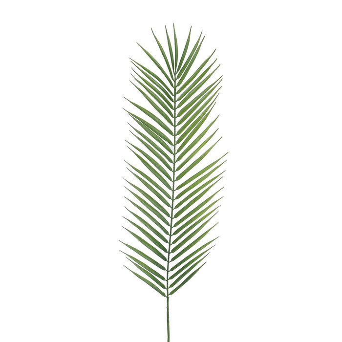 Ixia Hoja de Helecho Verde de Polietileno 108 cm Ixia Hoja de Helecho Verde de Polietileno 108 cm