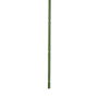 Ixia Hoja de Helecho Verde de Polietileno 108 cm
