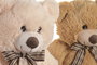 DKD Home Decor Peluche Oso Beige Marron 32 x 43 x 40 cm (2 Unidades)
