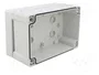 FIBOX TEMPO Carcasa Universal Gris de Policarbonato