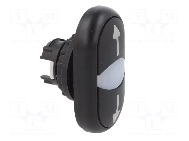 EATON ELECTRIC Interruptor Doble 22mm Negro