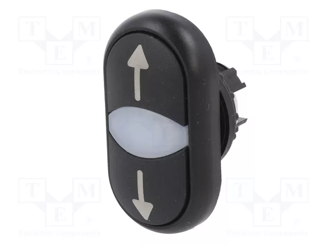 EATON ELECTRIC Interruptor Doble 22mm Negro