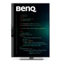 BenQ RD280UG Monitor de programación 28.2 4K+ 120Hz IPS Negro
