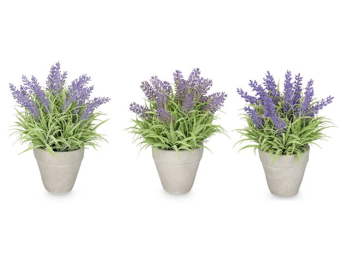 IBERGARDEN Macetero Lavanda Mediano Surtido Plástico Cemento 18x25x18cm (Set de 12)