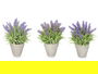IBERGARDEN Macetero Lavanda Mediano Surtido Plástico Cemento 18x25x18cm (Set de 12)