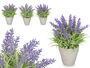 IBERGARDEN Macetero Lavanda Mediano Surtido Plástico Cemento 18x25x18cm (Set de 12)