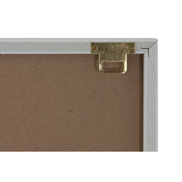 DKD Home Decor Set de 4 Cuadros de Lienzo Poliéster Animal 30x1,8x40 cm