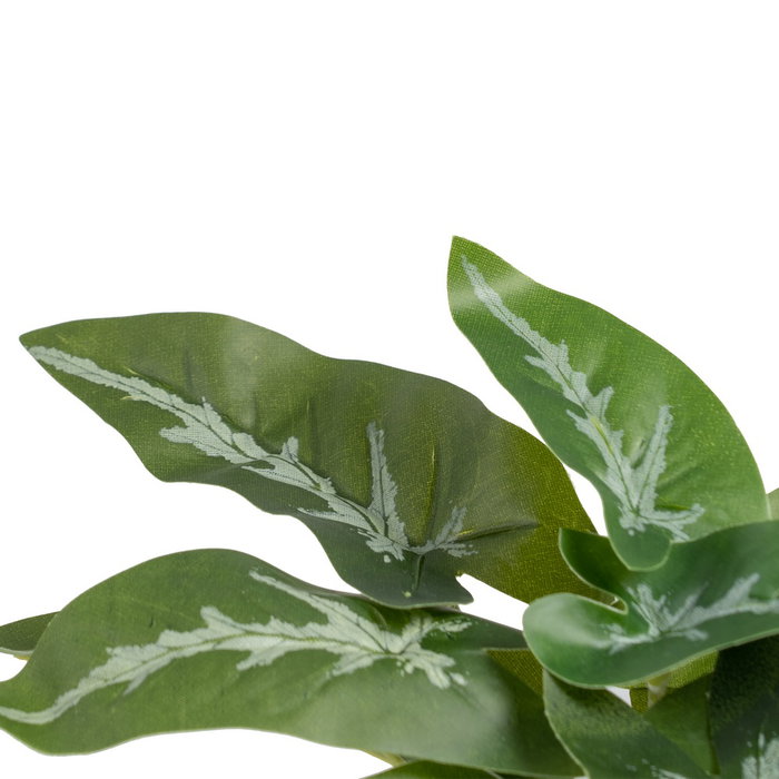 Singonio Verde "Pvc" 24 X 23 X 21 cm (Set de 4)