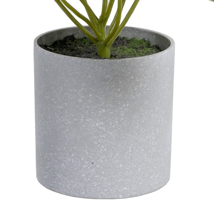 Singonio Verde "Pvc" 24 X 23 X 21 cm (Set de 4)