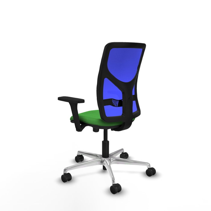 PIQUERAS Y CRESPO Silla de oficina Motilla con mecanismo Sincro/Traslack, Verde y Azul PIQUERAS Y CRESPO Silla de oficina Motilla con mecanismo Sincro/Traslack, Verde y Azul