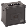 Amplificador Acústico Portátil de 10 W Ek Ag10A