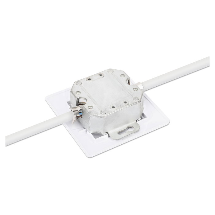 Intellinet 771917 Caja de Pared RJ45 Cat6a STP 10G 2 Puertos 500 MHz para Cableado Estructurado - Blanco