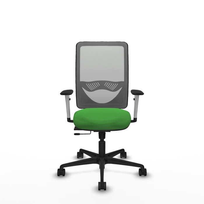PIQUERAS Y CRESPO Silla de oficina Zulema con mecanismo Sincro/Traslack Verde y Gris