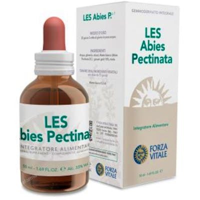 FORZA VITALE Les Abies Pectinata Abeto Blanco 50Ml Favorece la Remineralización del Organismo FORZA VITALE Les Abies Pectinata Abeto Blanco 50Ml Favorece la Remineralización del Organismo