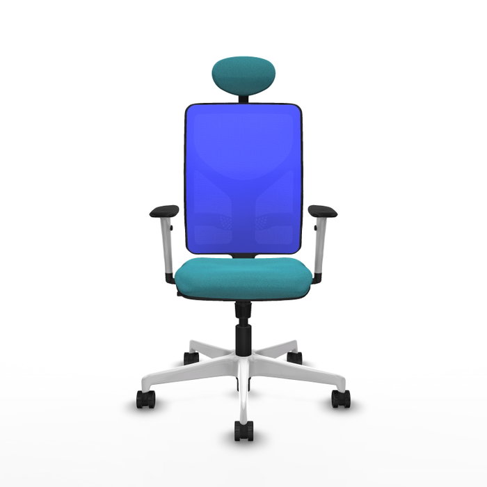 PIQUERAS Y CRESPO Silla de oficina Motilla con mecanismo Sincro, Turquesa y Azul PIQUERAS Y CRESPO Silla de oficina Motilla con mecanismo Sincro, Turquesa y Azul