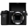 Sony Alpha 6600 Body black