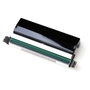 Zebra P1083320-011 Cabezal de Impresión 300 dpi para ZT610 y ZT41x series