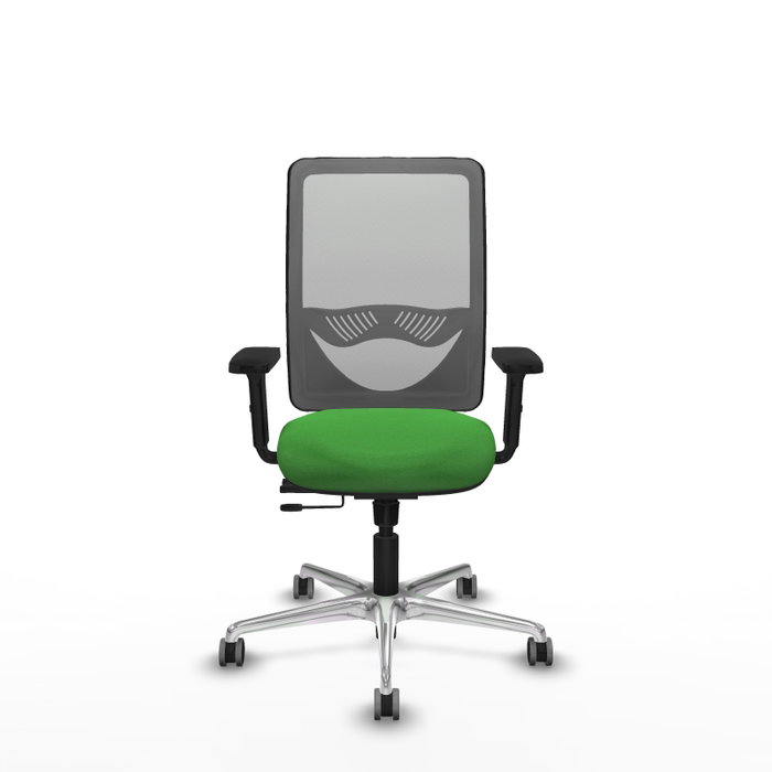 PIQUERAS Y CRESPO Silla de oficina Zulema con mecanismo Sincro/Traslack, Verde y Gris
