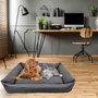Nayeco Cuna Desenfundable Gris 90x70x21cm