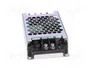 MEAN WELL RSD-30G-3.3 Convertidor DC/DC 19,8W 3,3V 6A
