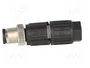 LAPP Conector Industrial M12 Macho 4 Pines Recto IP65/IP67