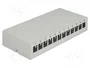 DeLOCK Panel de conexiones Keystone 12 puertos gris