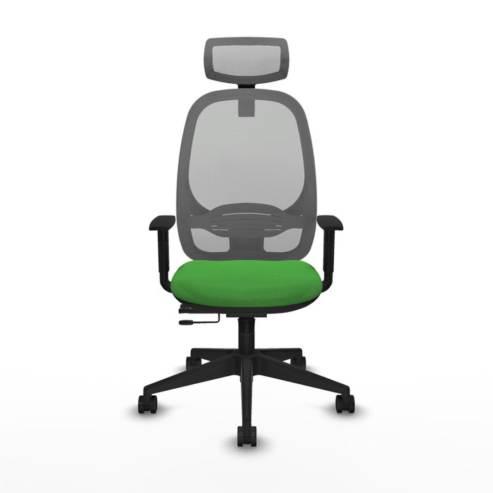 PIQUERAS Y CRESPO Silla de oficina Cilanco con mecanismo Sincro/Traslack, Verde y Gris PIQUERAS Y CRESPO Silla de oficina Cilanco con mecanismo Sincro/Traslack, Verde y Gris