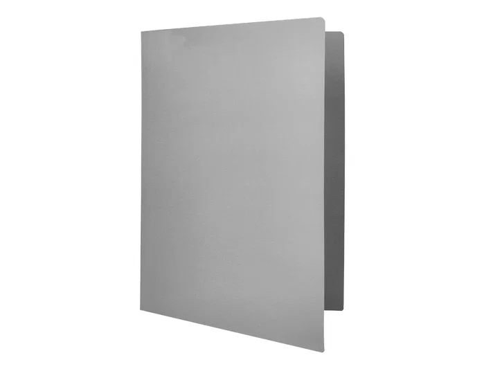 Liderpapel Subcarpeta de archivo folio gris 180g/m2