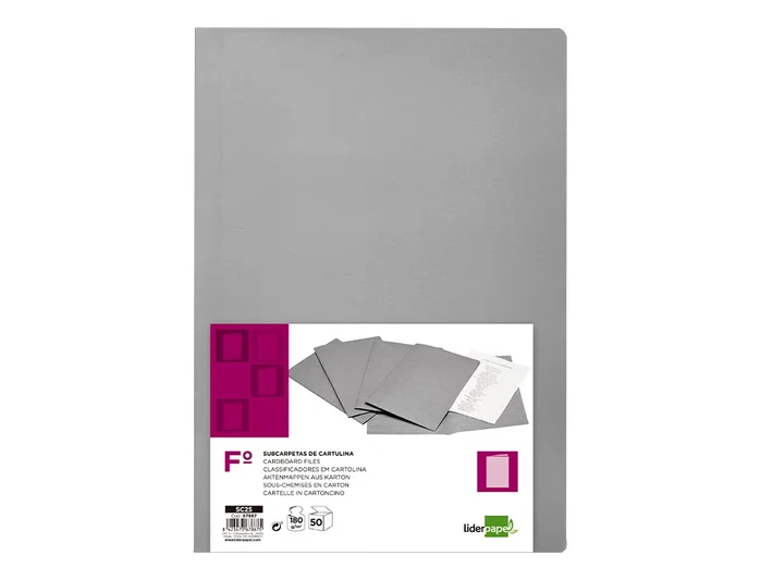 Liderpapel Subcarpeta de archivo folio gris 180g/m2