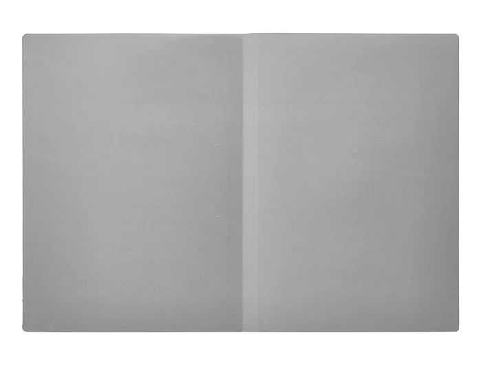 Liderpapel Subcarpeta de archivo folio gris 180g/m2