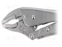 PROLINE Tenazas de sujeción tipo Morse 250 mm
