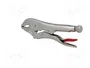 PROLINE Tenazas de sujeción tipo Morse 250 mm