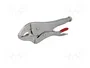 PROLINE Tenazas de sujeción tipo Morse 250 mm