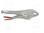 PROLINE Tenazas de sujeción tipo Morse 250 mm