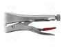 PROLINE Tenazas de sujeción tipo Morse 250 mm