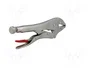 PROLINE Tenazas de sujeción tipo Morse 250 mm