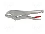 PROLINE Tenazas de sujeción tipo Morse 250 mm