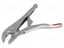 PROLINE Tenazas de sujeción tipo Morse 250 mm