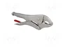 PROLINE Tenazas de sujeción tipo Morse 250 mm