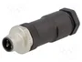 LAPP Conector M12 Macho 4 Pines Recto IP67 12A